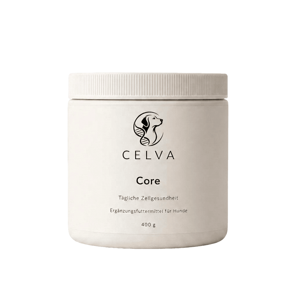 CELVA Core Dose – Daily Cellular Support für Hunde