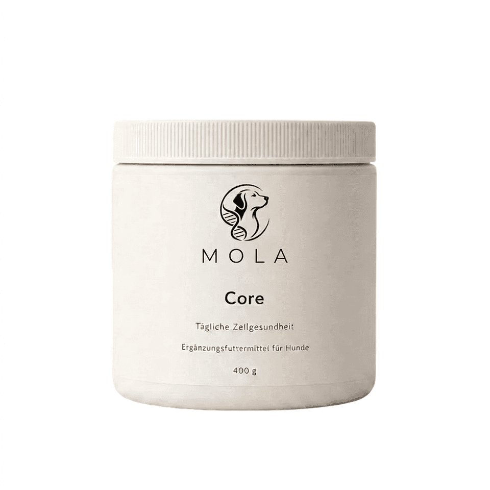 MOLA Core Dose – Tägliche Zellgesundheit.